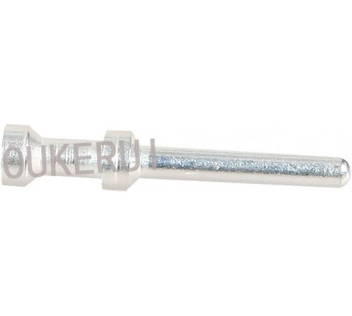 HZW-CESM