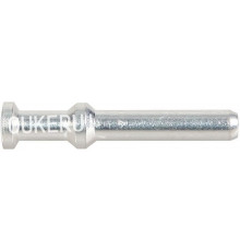 HZW-CCSM